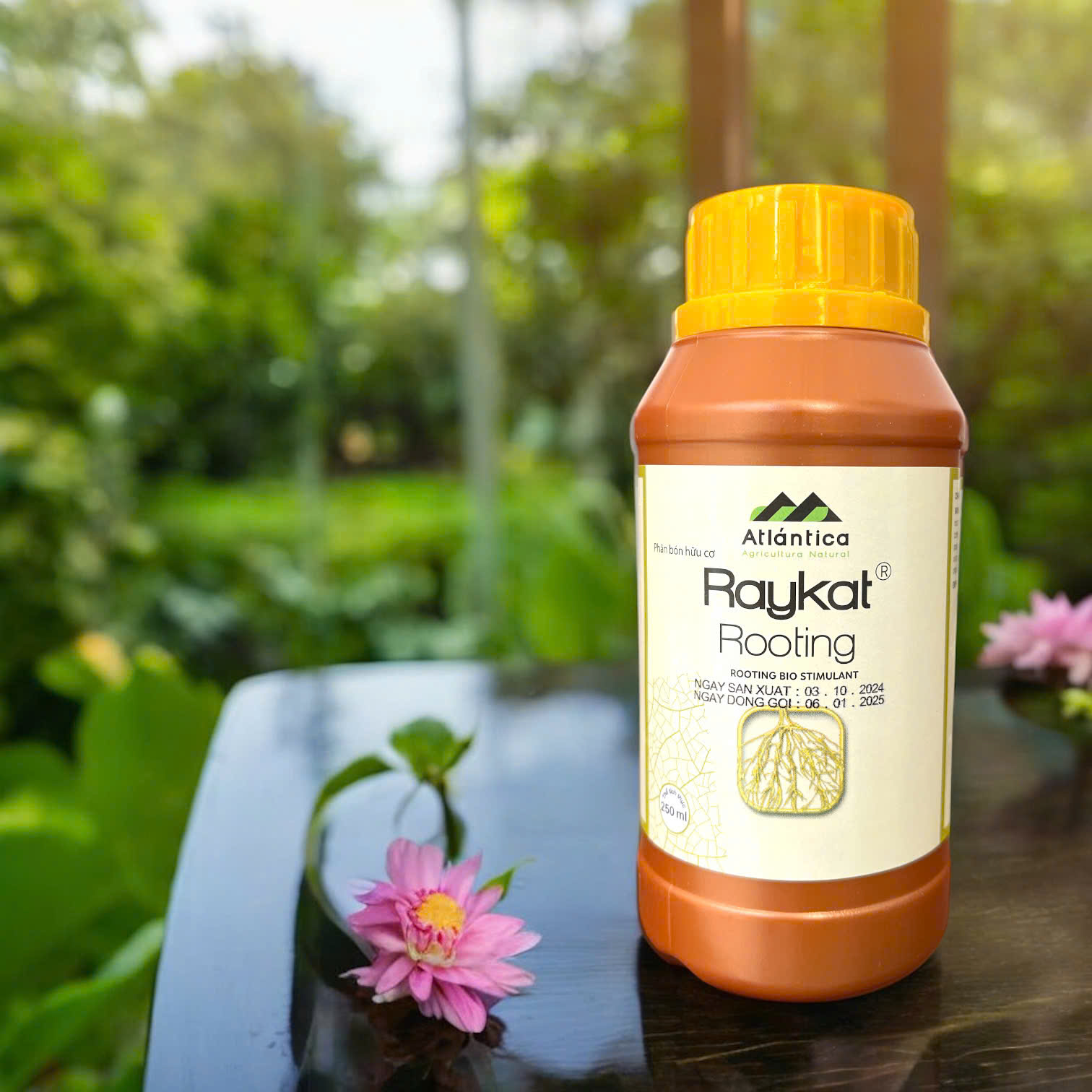 Phân bón sinh học hữu cơ Raykat Rooting - chai 250ml